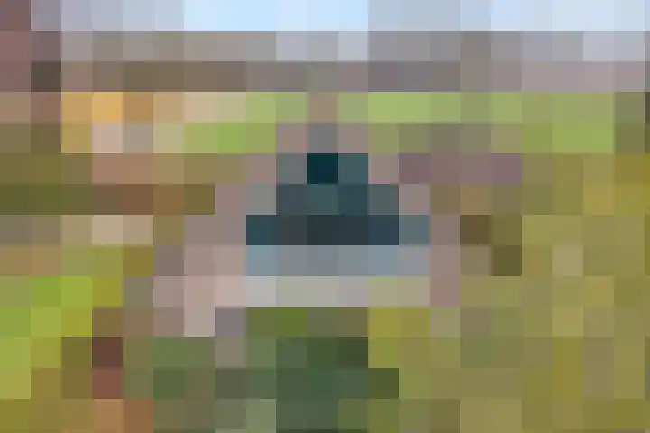 Burgerkamp 2 Loozen thumbnail 53