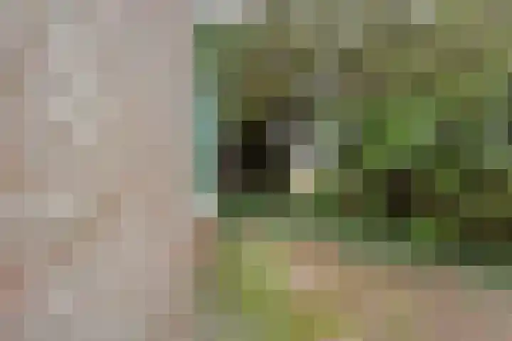 Burgerkamp 2 Loozen thumbnail 56