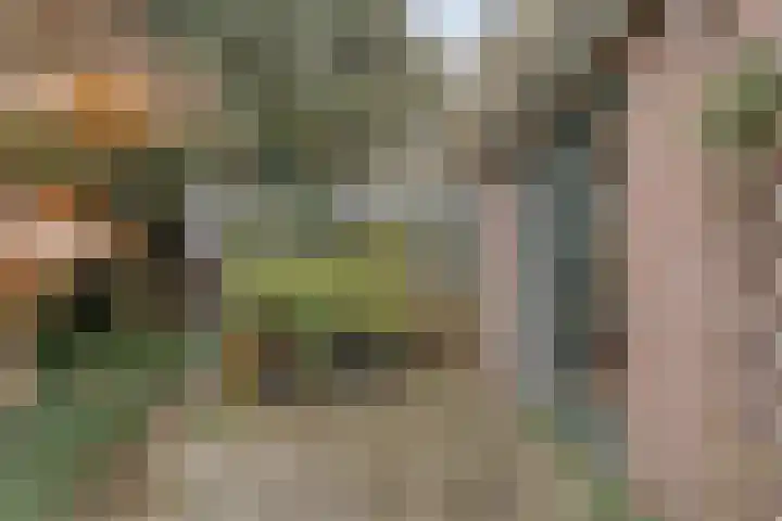 Burgerkamp 2 Loozen thumbnail 57