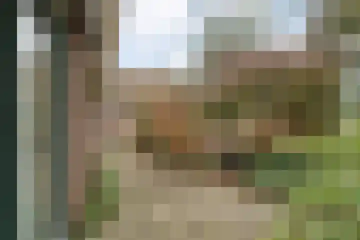 Burgerkamp 2 Loozen thumbnail 59