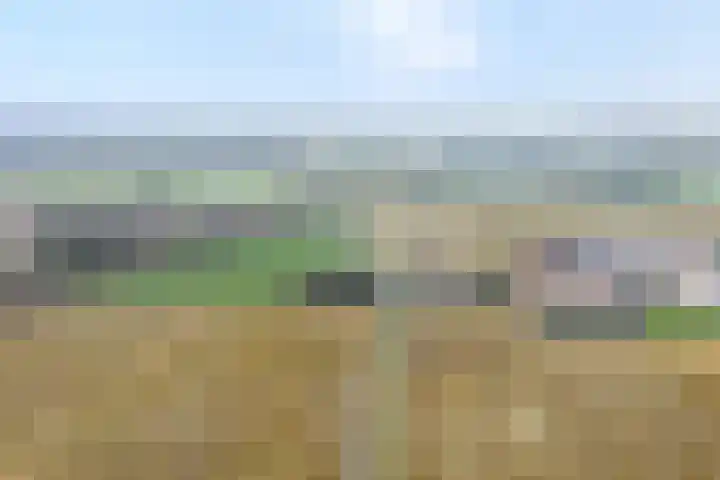 Burgerkamp 2 Loozen thumbnail 6