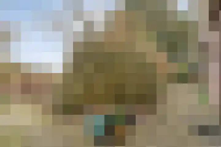 Burgerkamp 2 Loozen thumbnail 60