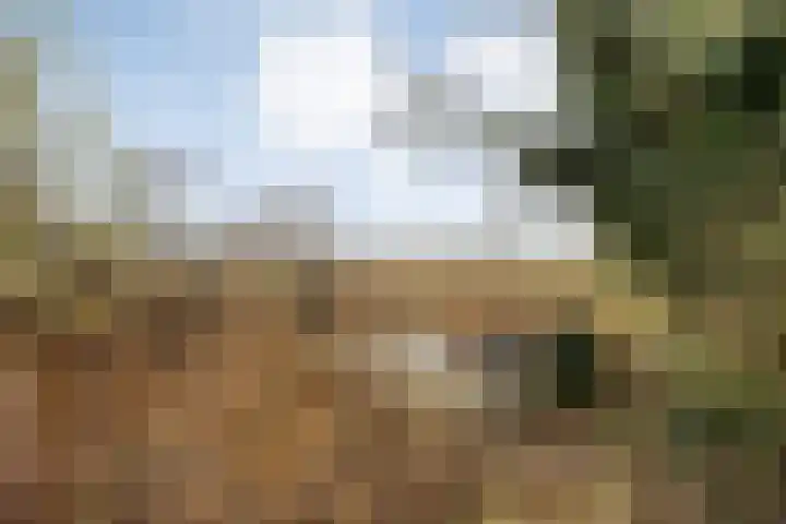 Burgerkamp 2 Loozen thumbnail 63