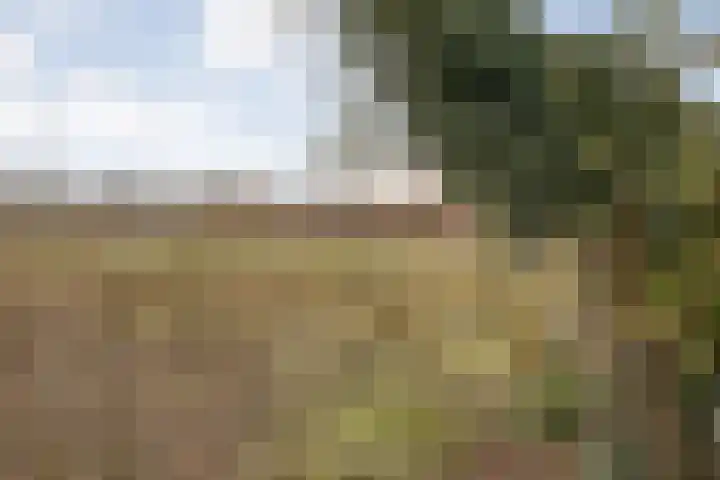 Burgerkamp 2 Loozen thumbnail 65