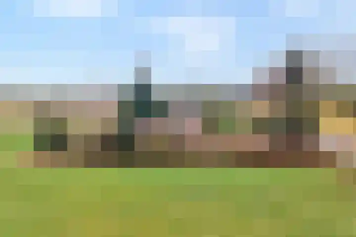 Burgerkamp 2 Loozen thumbnail 66