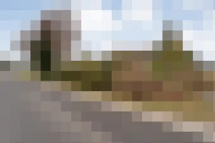 Burgerkamp 2 Loozen thumbnail 67