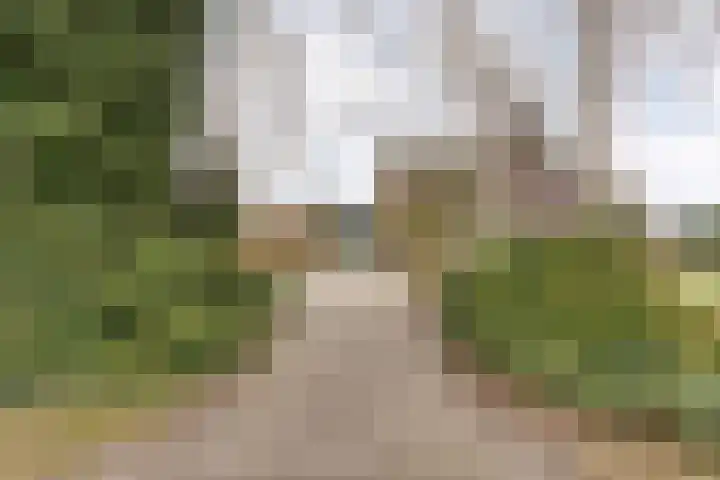 Burgerkamp 2 Loozen thumbnail 8