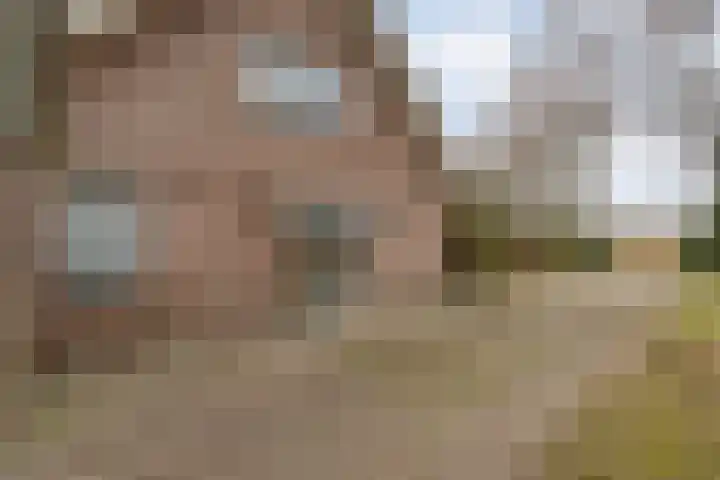 Burgerkamp 2 Loozen thumbnail 9