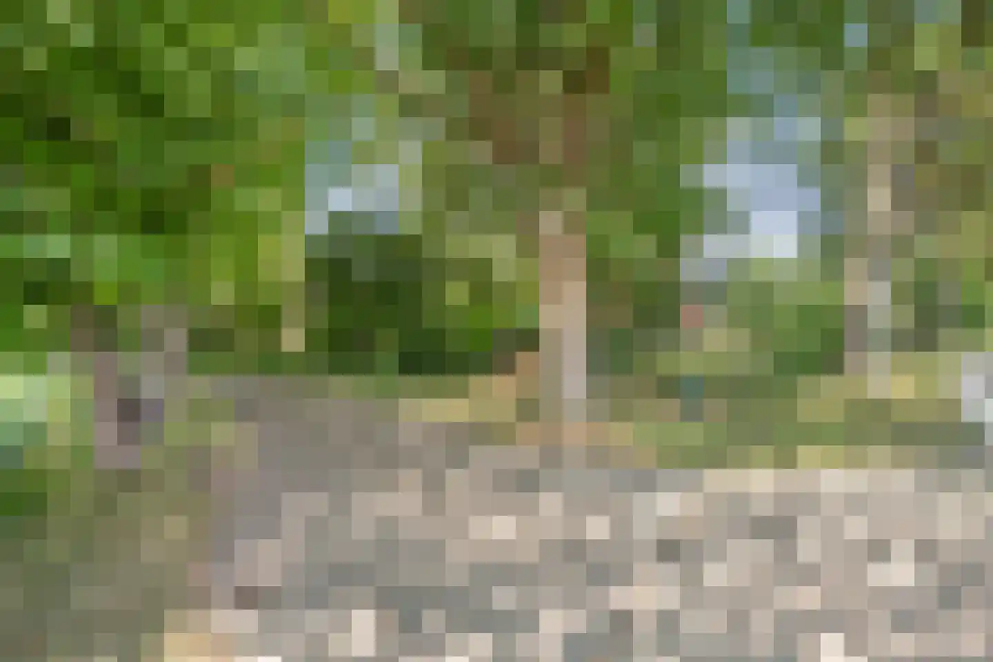 Burgerkamp 5 Loozen thumbnail 10