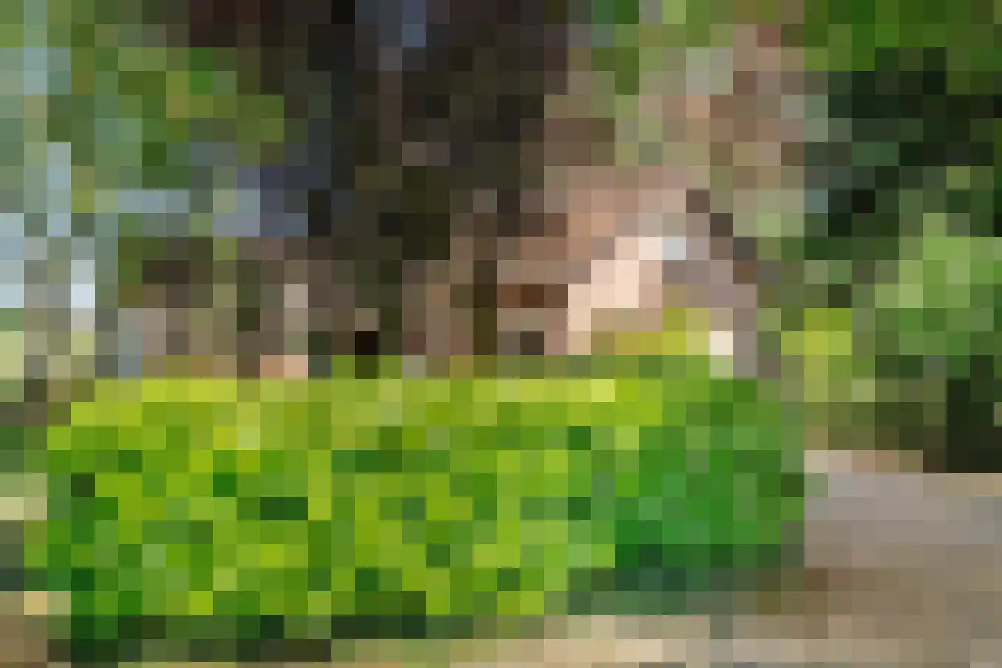Burgerkamp 5 Loozen thumbnail 11