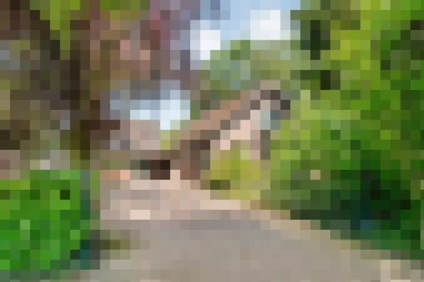 Burgerkamp 5 Loozen thumbnail 12