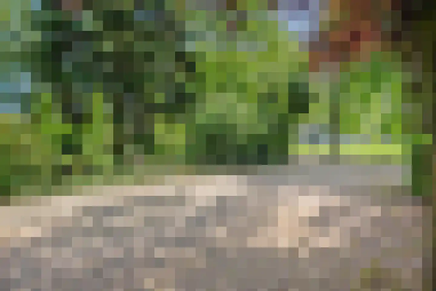 Burgerkamp 5 Loozen thumbnail 13