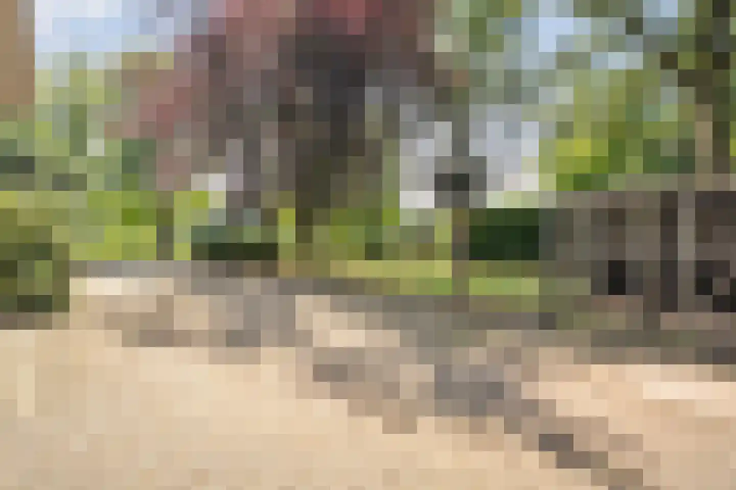Burgerkamp 5 Loozen thumbnail 14