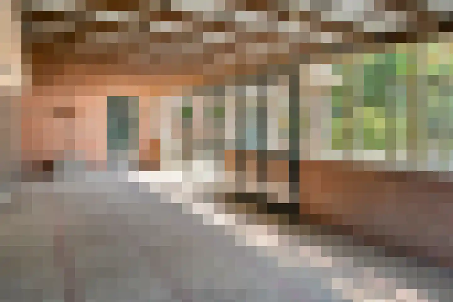 Burgerkamp 5 Loozen thumbnail 16