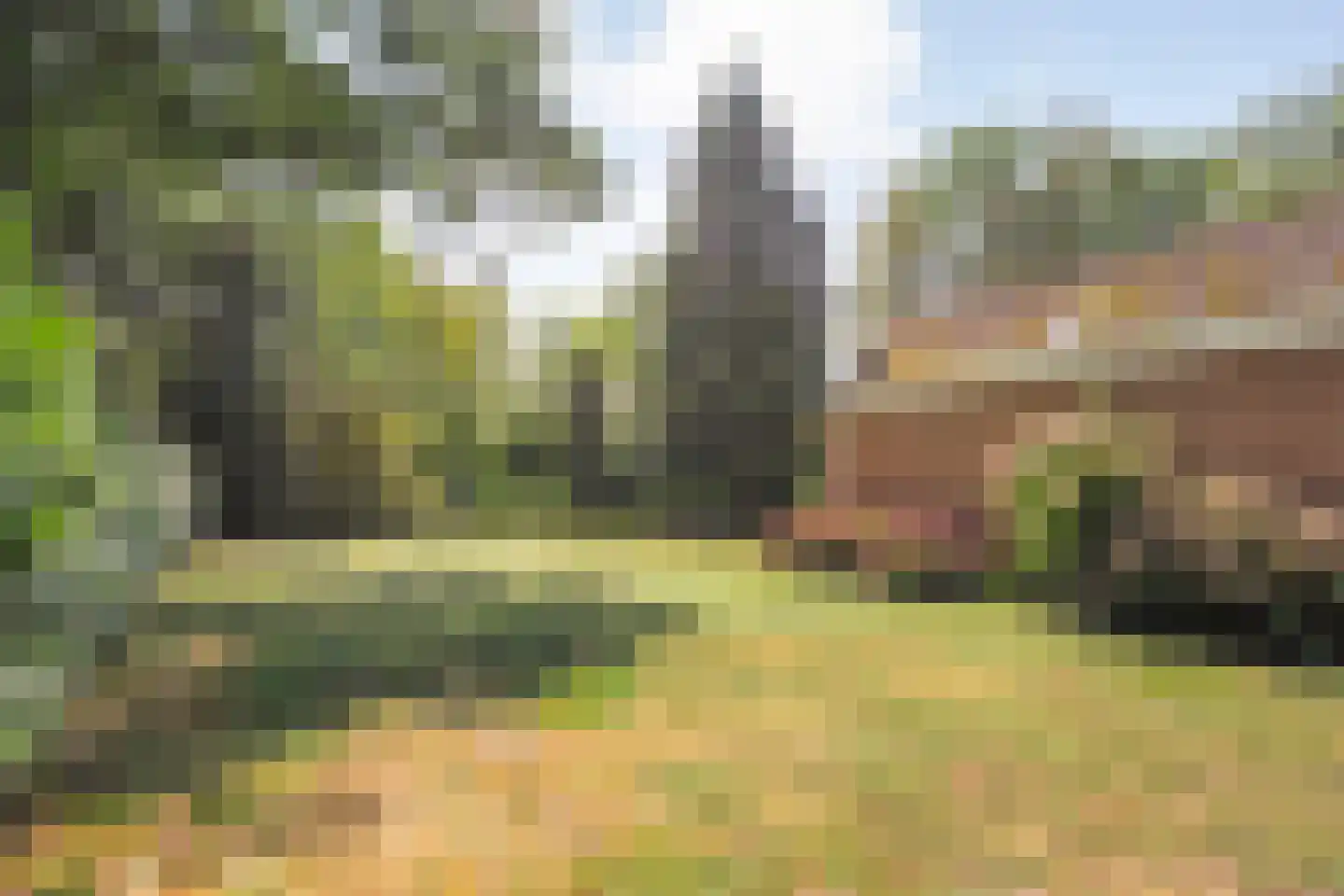 Burgerkamp 5 Loozen thumbnail 4