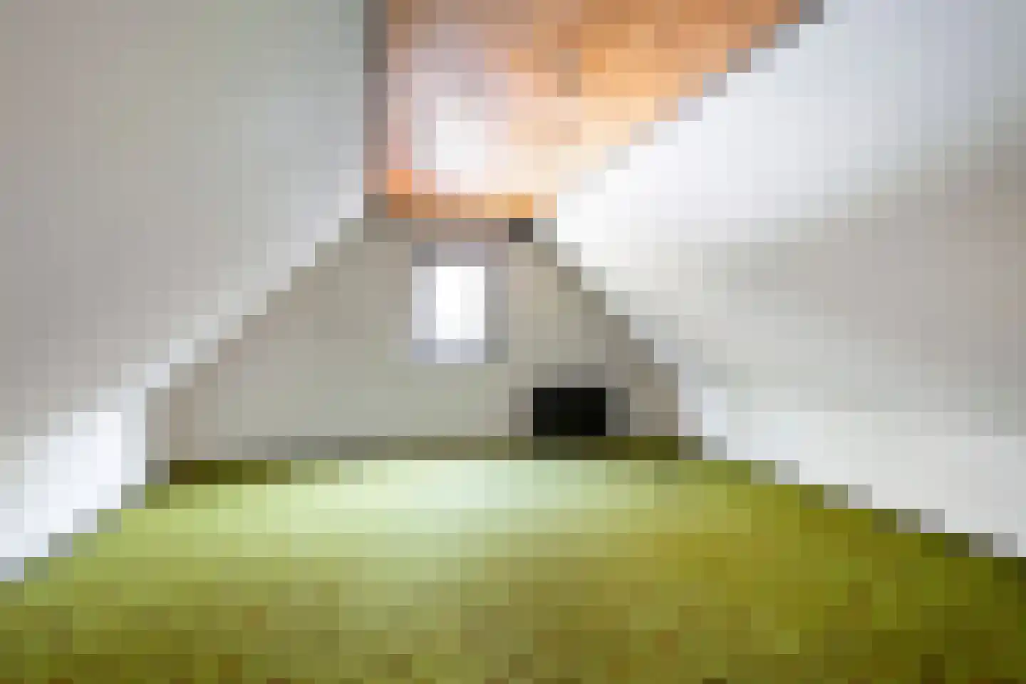 Burgerkamp 5 Loozen thumbnail 43