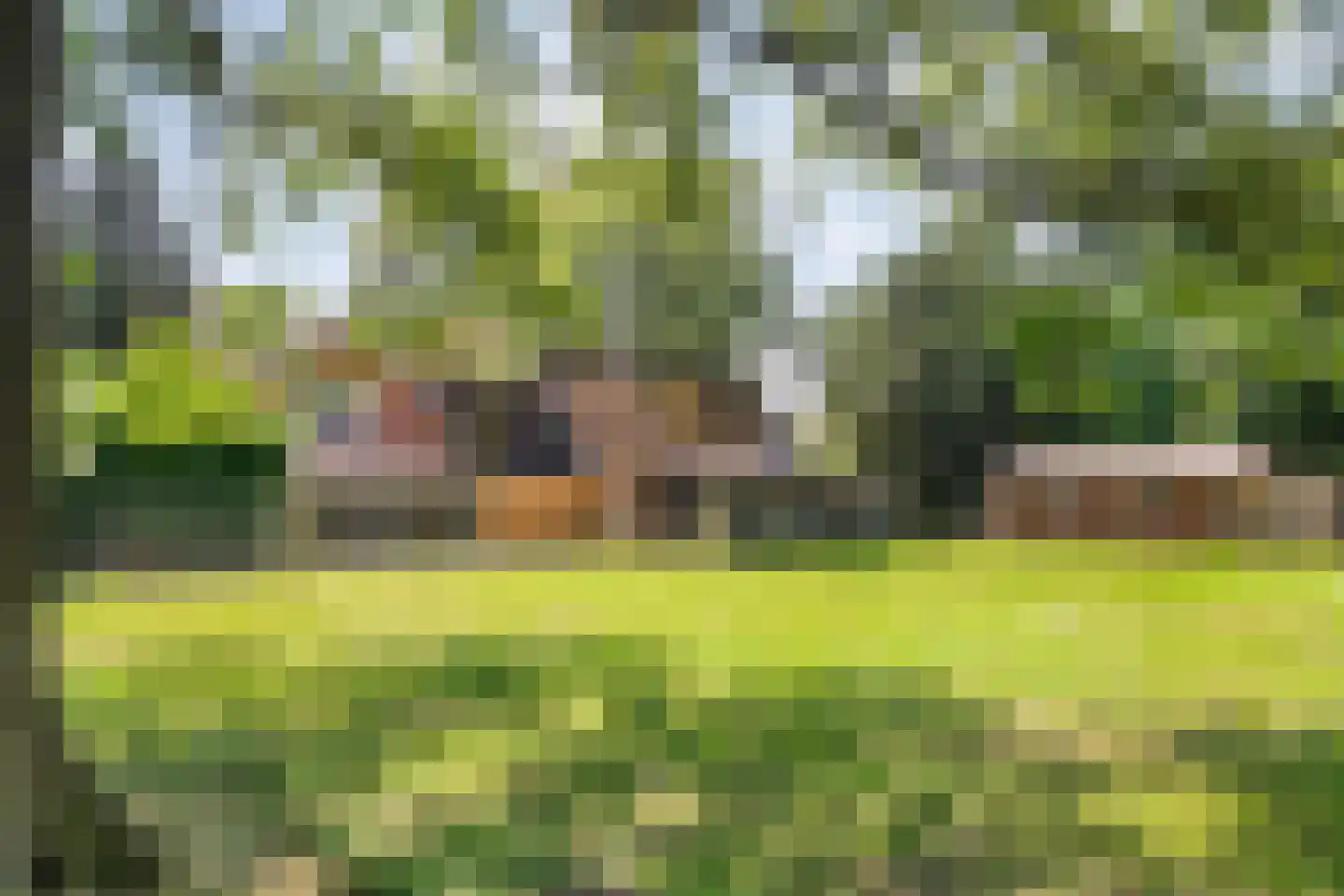 Burgerkamp 5 Loozen thumbnail 47