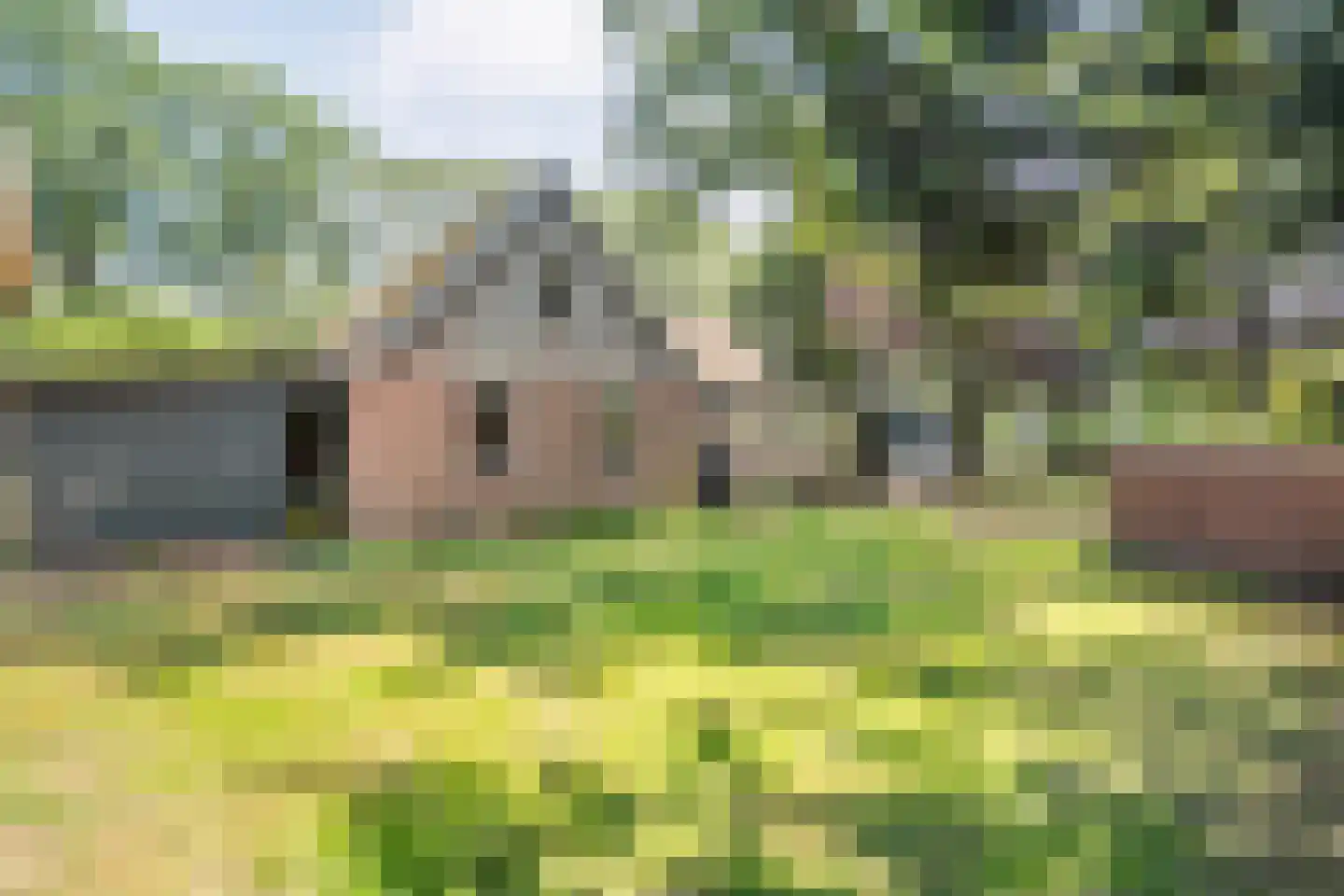 Burgerkamp 5 Loozen thumbnail 49