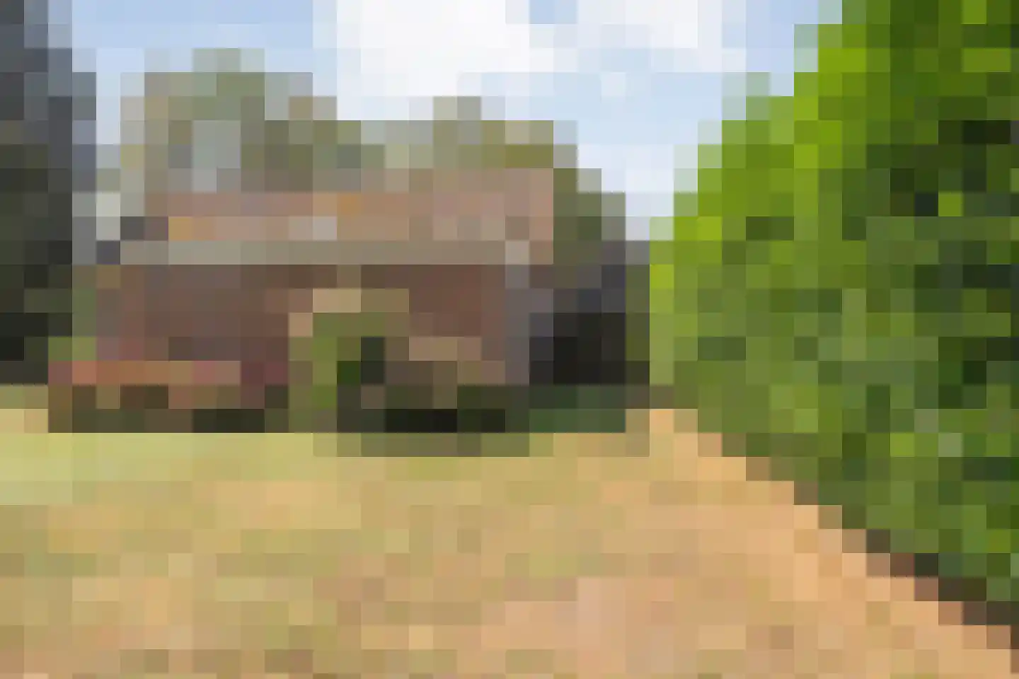 Burgerkamp 5 Loozen thumbnail 5