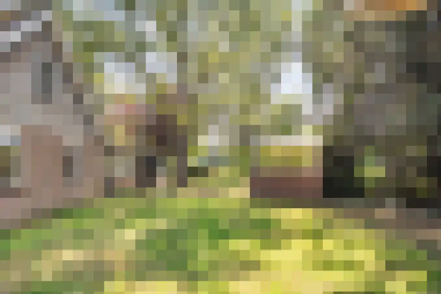 Burgerkamp 5 Loozen thumbnail 50
