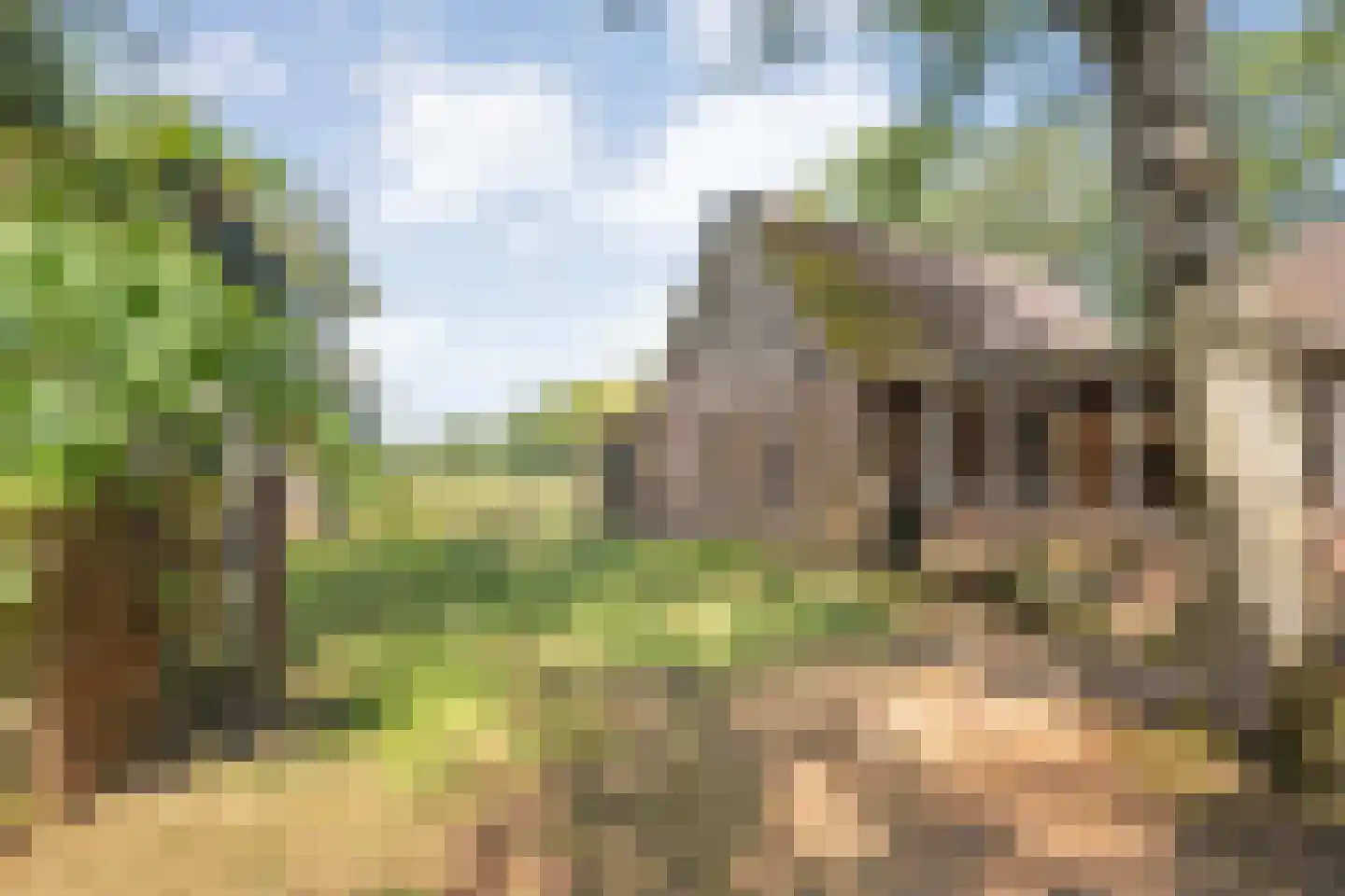 Burgerkamp 5 Loozen thumbnail 51