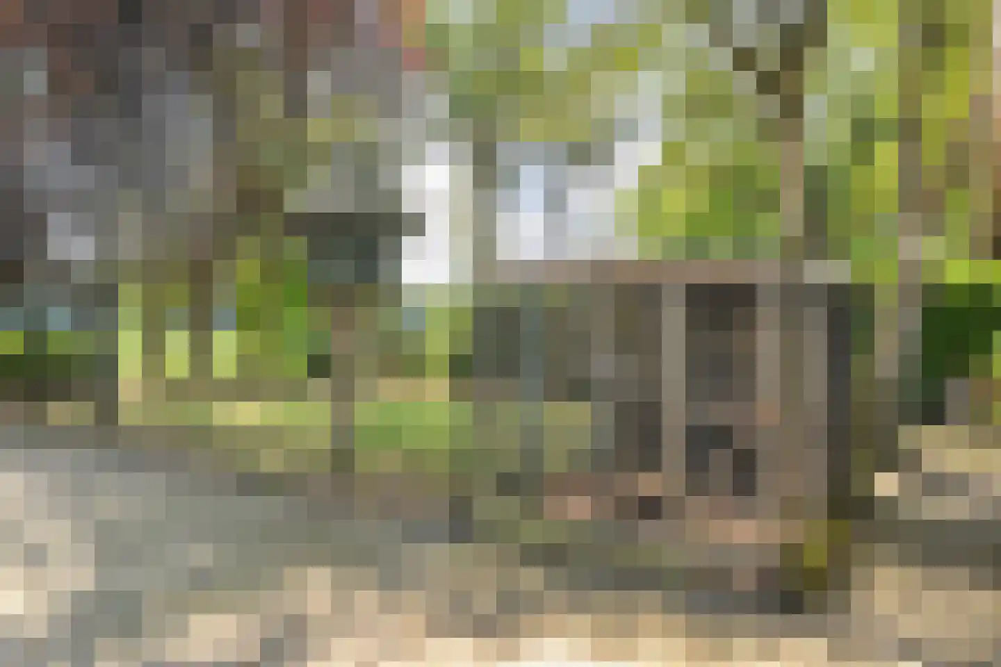 Burgerkamp 5 Loozen thumbnail 52