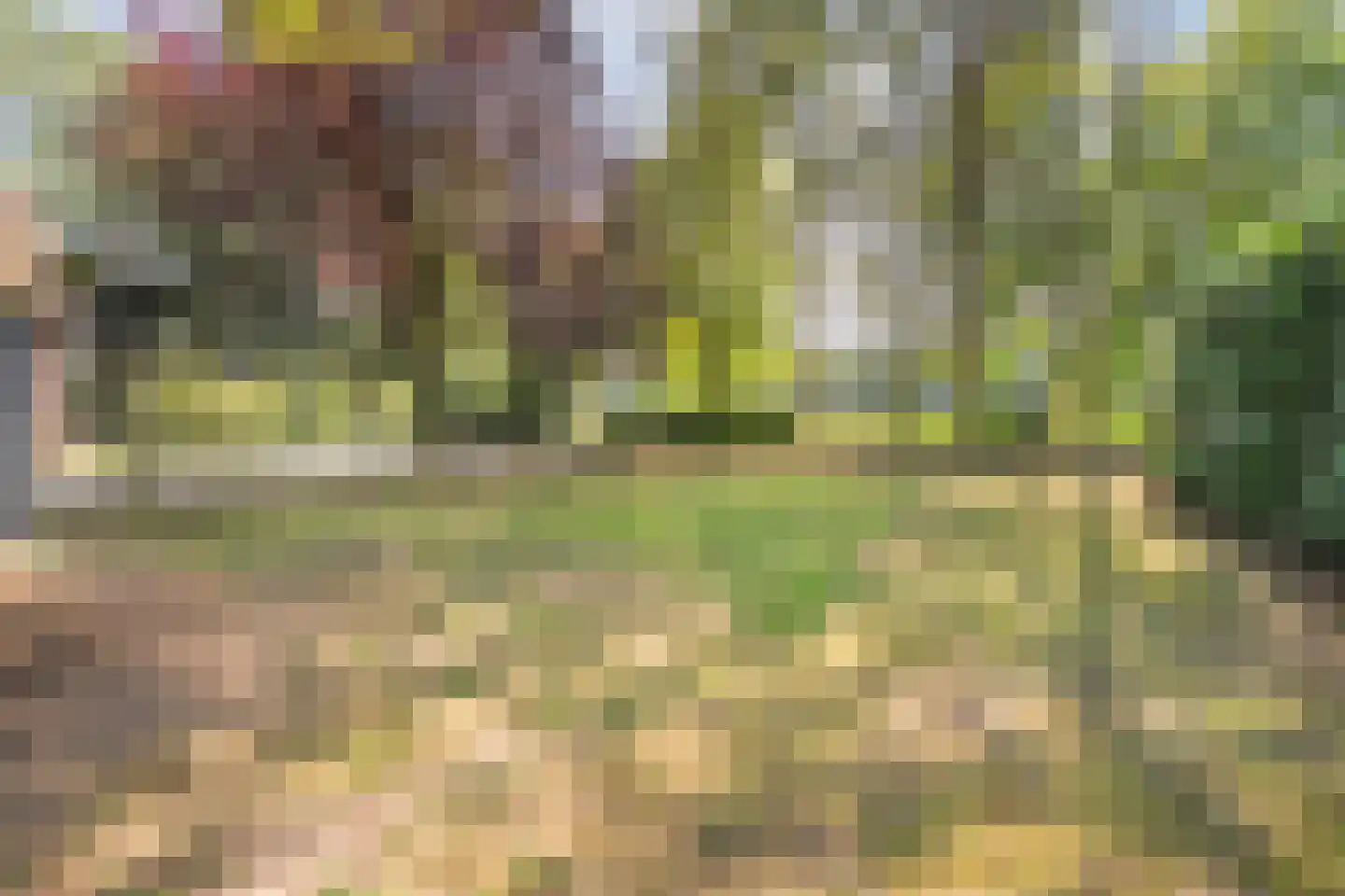 Burgerkamp 5 Loozen thumbnail 53