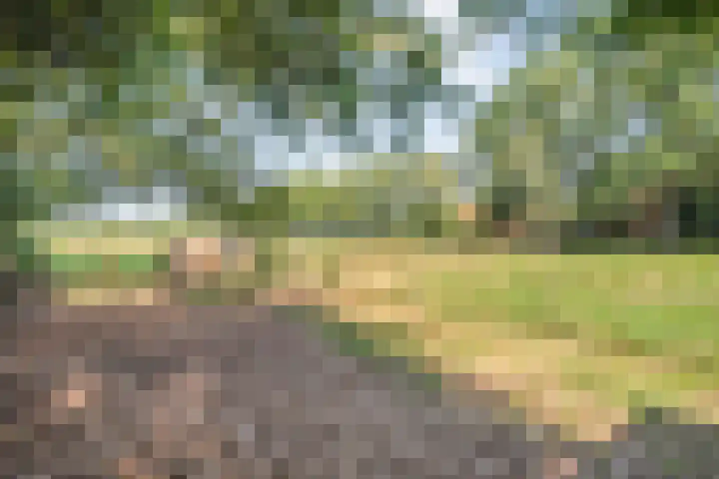 Burgerkamp 5 Loozen thumbnail 55