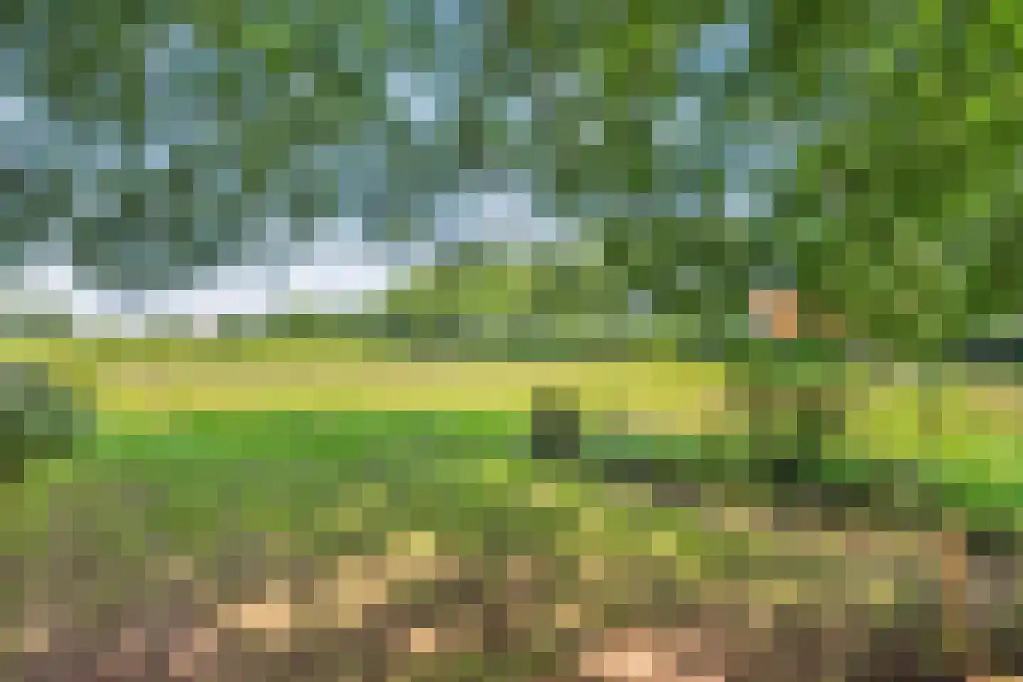Burgerkamp 5 Loozen thumbnail 56