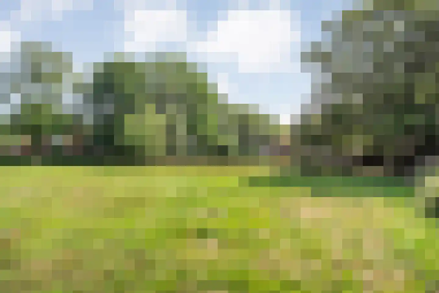 Burgerkamp 5 Loozen thumbnail 57