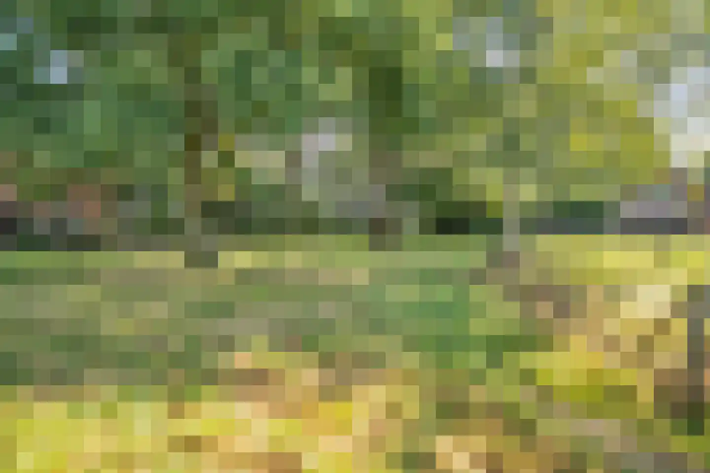 Burgerkamp 5 Loozen thumbnail 58