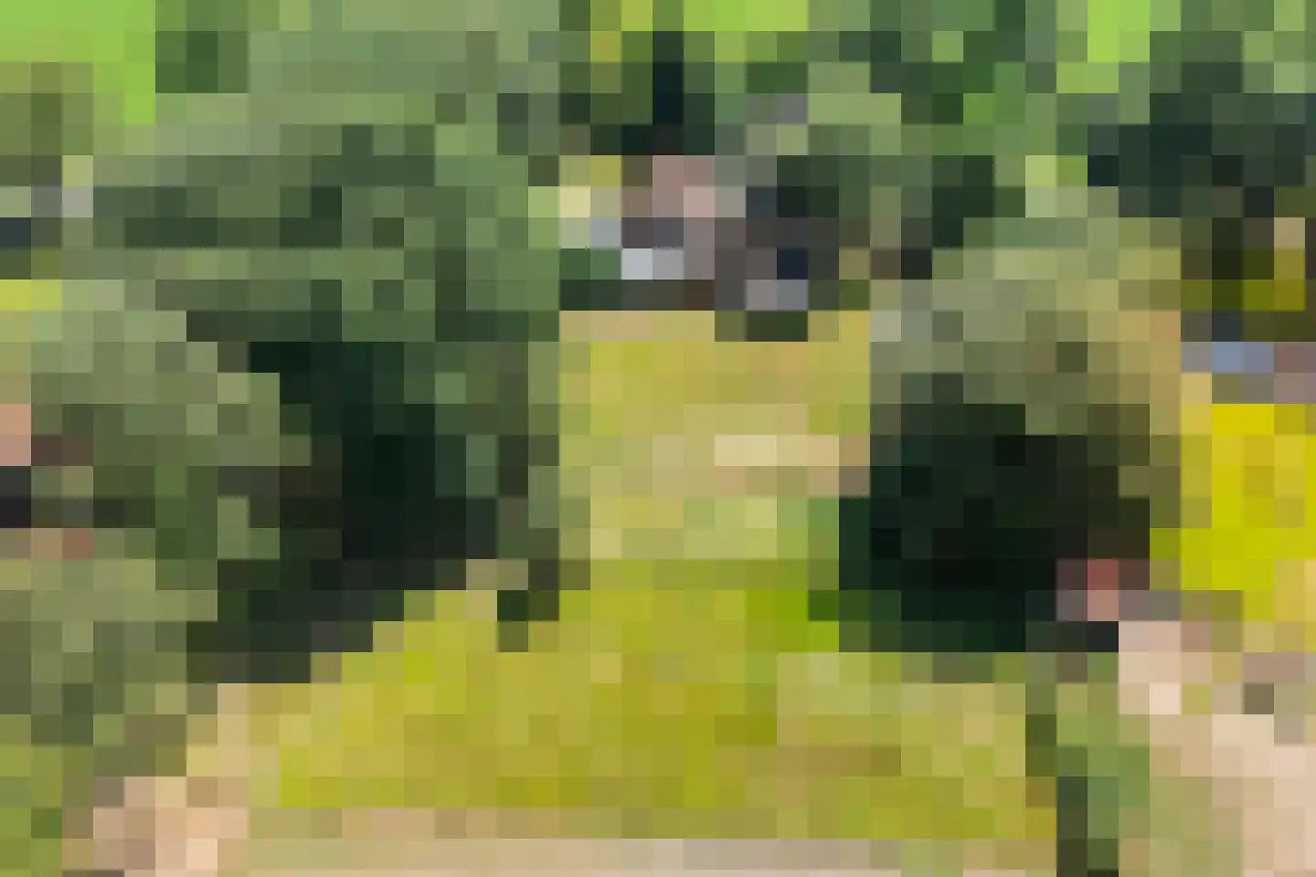 Burgerkamp 5 Loozen thumbnail 6