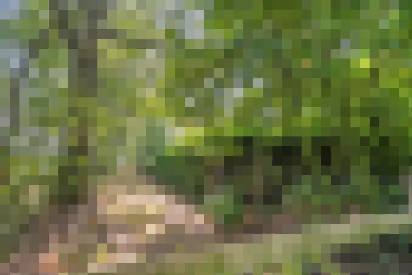 Burgerkamp 5 Loozen thumbnail 60