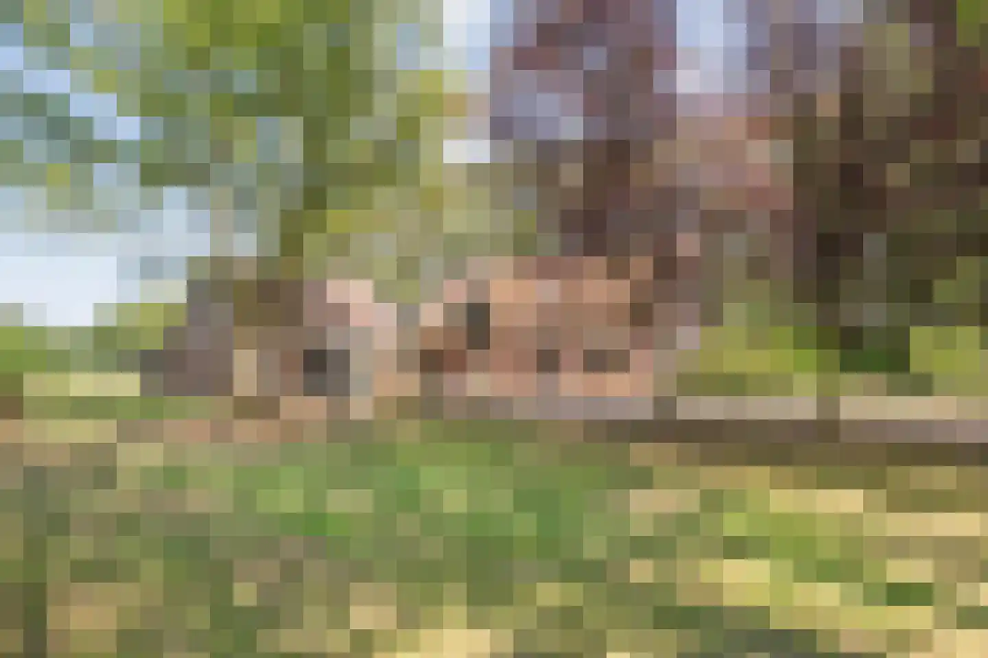 Burgerkamp 5 Loozen thumbnail 7