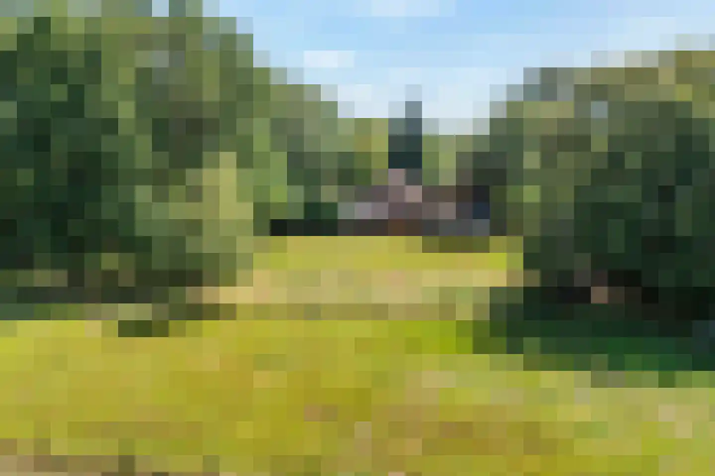 Burgerkamp 5 Loozen thumbnail 8