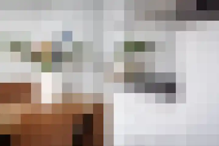 Office photo of BURGERSDIJK MAKELAARS