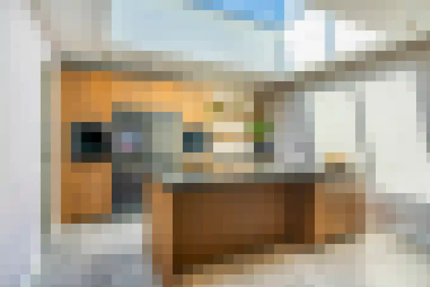 Burgersdijkstraat 19 Katwijk thumbnail 7