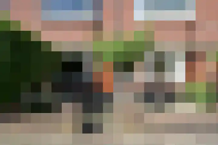 Burgersdijkstraat 37 Den Haag thumbnail 7