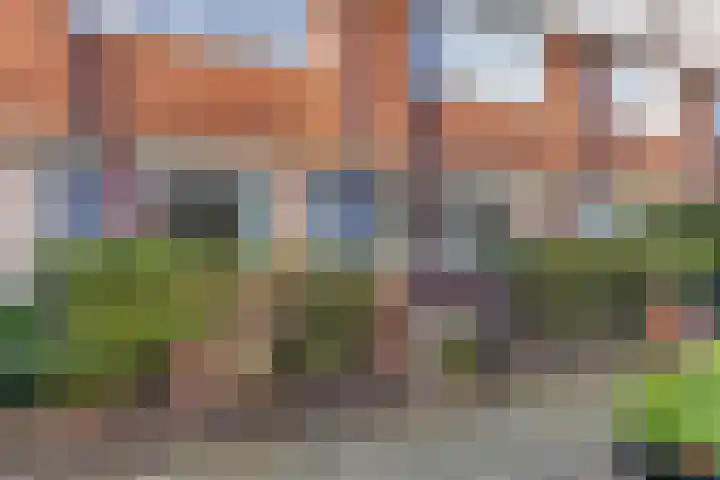 Burgersdijkstraat 72 Den Haag thumbnail 4