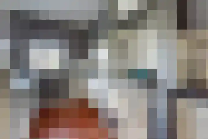 Burgerstraat 18 Gameren thumbnail 11