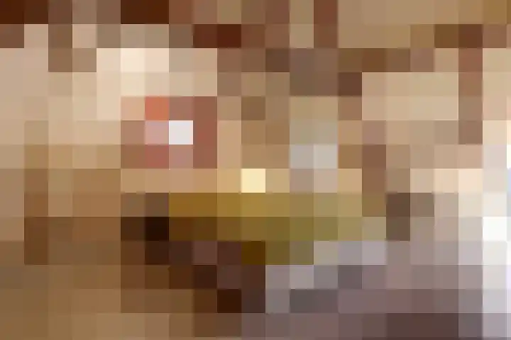 Burgerstraat 18 Gameren thumbnail 26