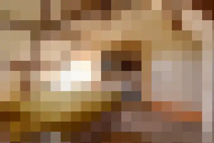 Burgerstraat 18 Gameren thumbnail 27