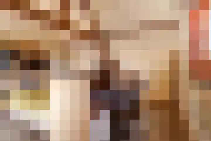 Burgerstraat 18 Gameren thumbnail 28