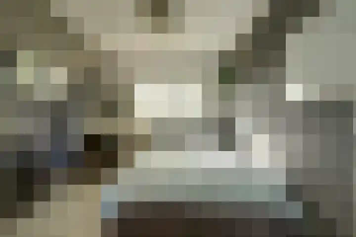 Burgerstraat 18 Gameren thumbnail 30