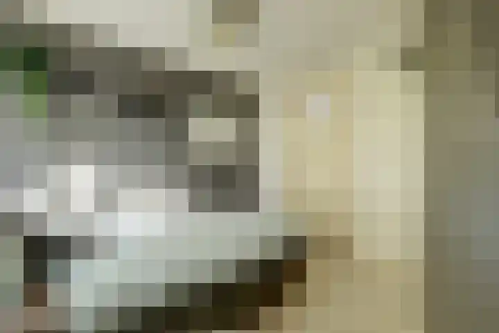 Burgerstraat 18 Gameren thumbnail 31