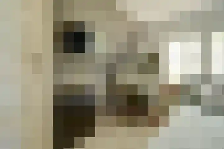 Burgerstraat 18 Gameren thumbnail 32