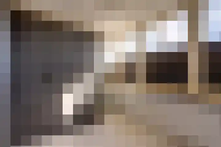 Burgerstraat 18 Gameren thumbnail 37