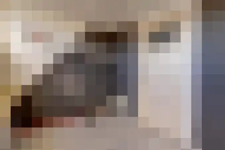 Burgerstraat 18 Gameren thumbnail 38