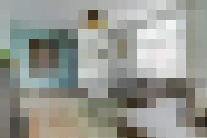Burgerstraat 18 Gameren thumbnail 4