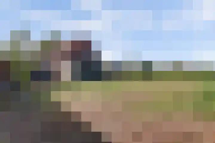 Burgerstraat 18 Gameren thumbnail 44